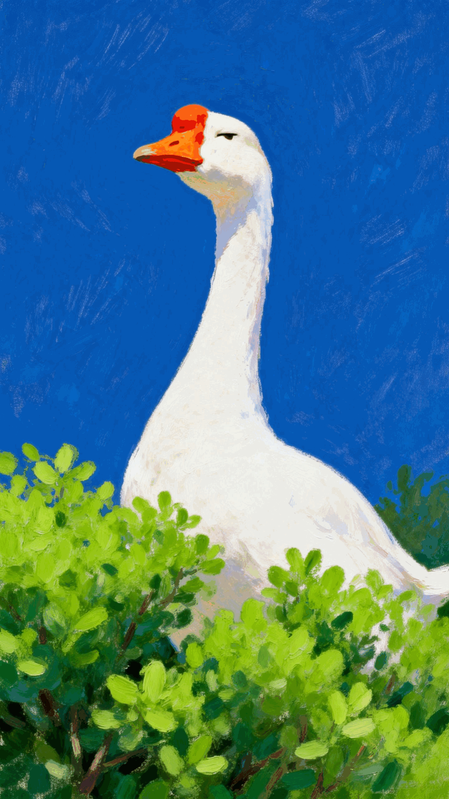 Curated Sample Gallery